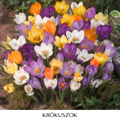 Viragoskertek