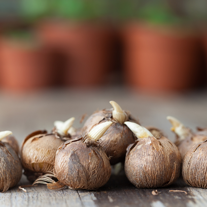 Mire figyeljünk februárban – gyakori hibák, amiket érdemes elkerülni